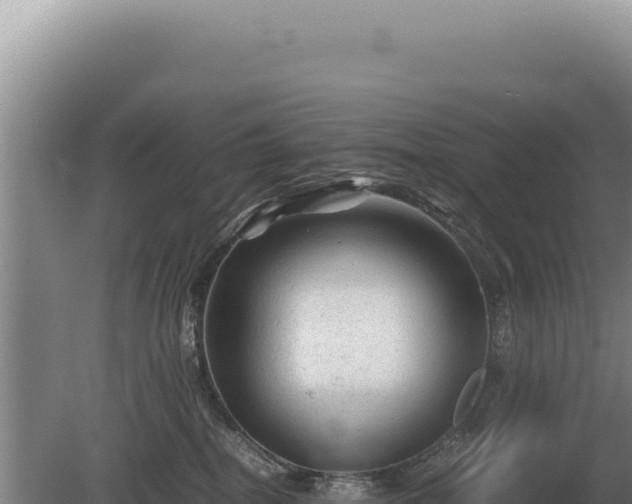 X0000081470282200701191814