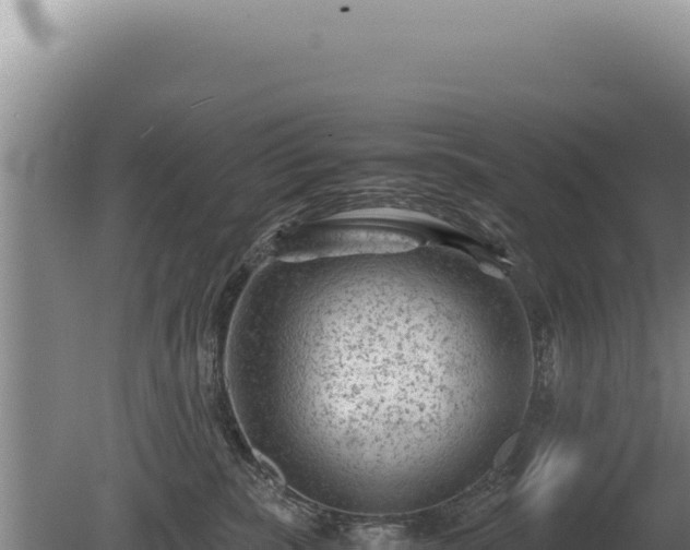 X0000081470283200701191814