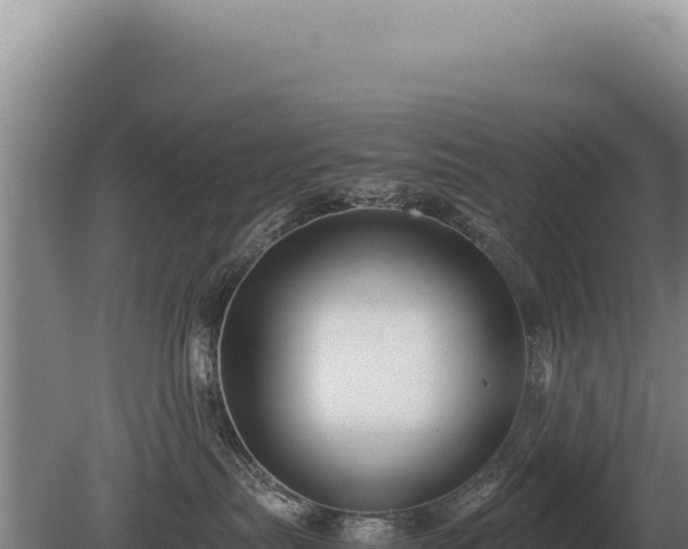 X0000081470287200701191814