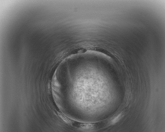 X0000081470288200701191814