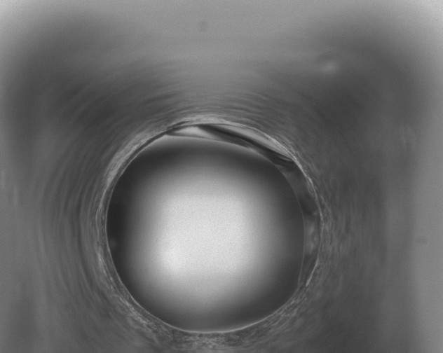 X0000081470289200701191813