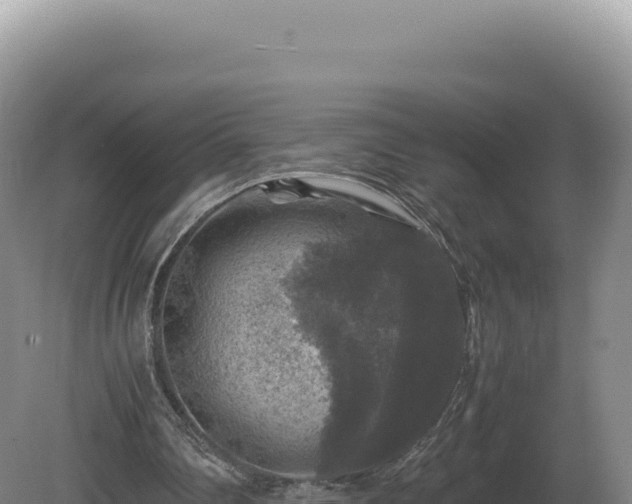 X0000081470290200701191813