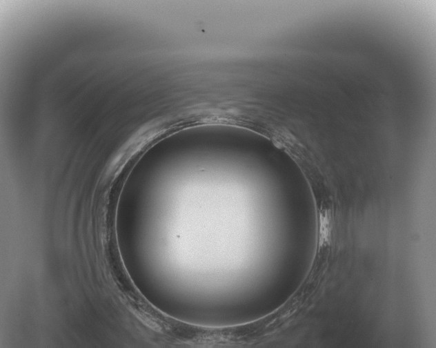 X0000081470291200701191813