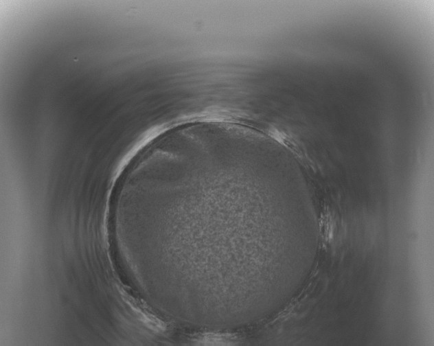 X0000081470292200701191813