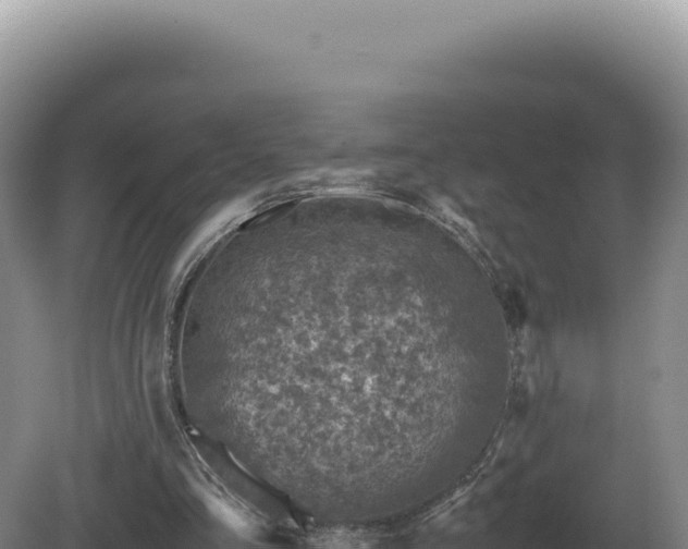 X0000081470293200701191813