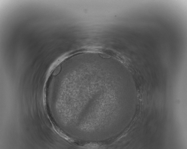 X0000081470294200701191813