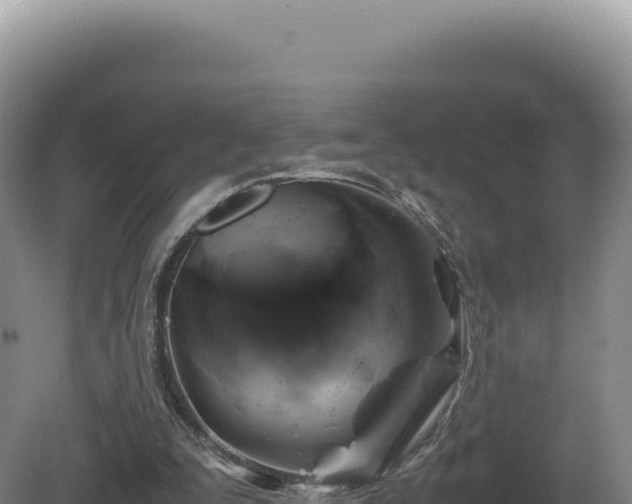 X0000081470295200701191813