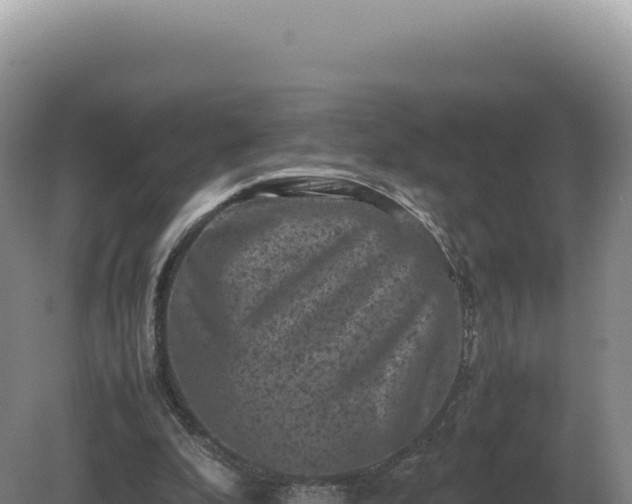 X0000081470296200701191813