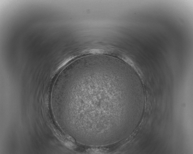 X0000081470297200701191813