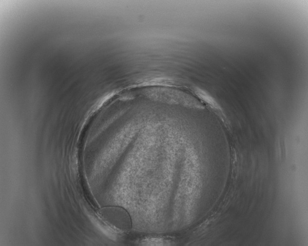 X0000081470298200701191813