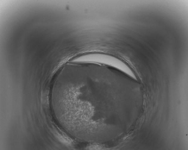 X0000081470299200701191813