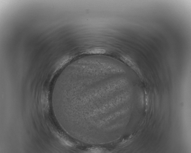 X0000081470300200701191813