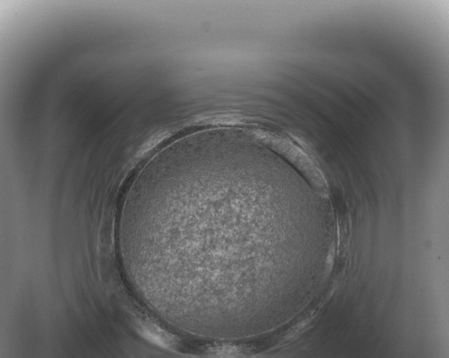 X0000081470301200701191813