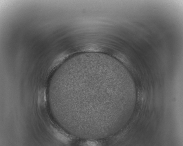 X0000081470302200701191813