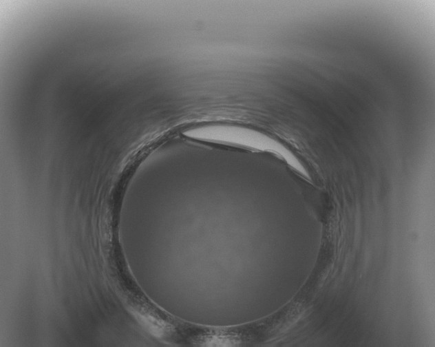 X0000081470303200701191813