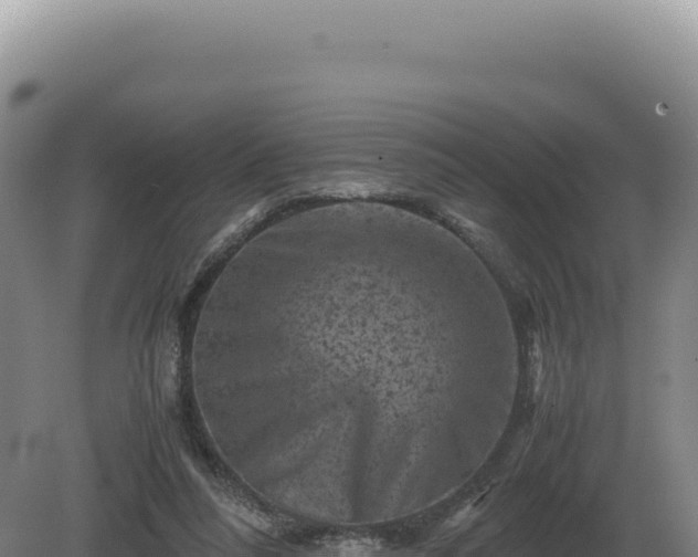 X0000081470304200701191813