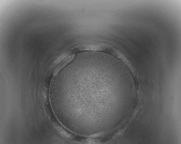 X0000081470305200701191813