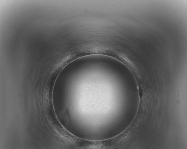 X0000081470306200701191813