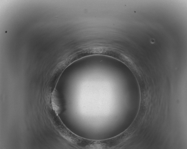 X0000081470307200701191813