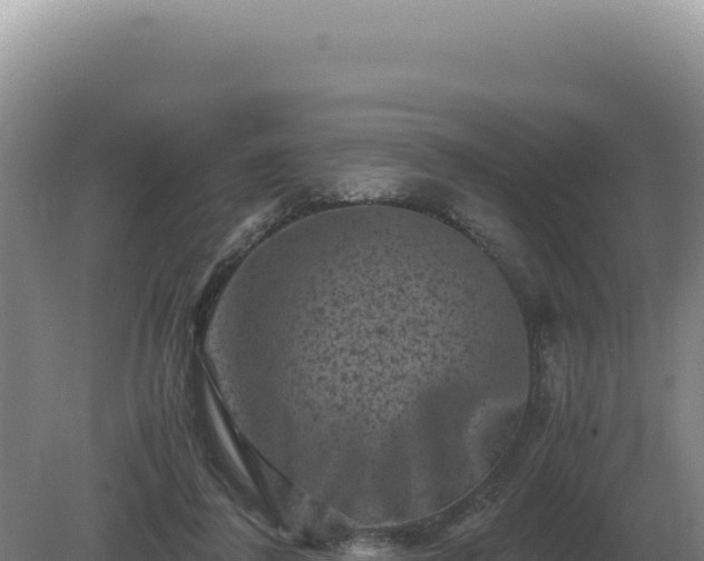 X0000081470308200701191813