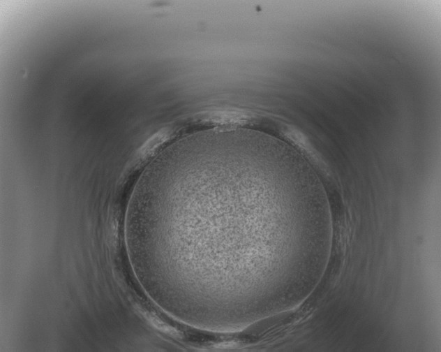 X0000081470309200701191813