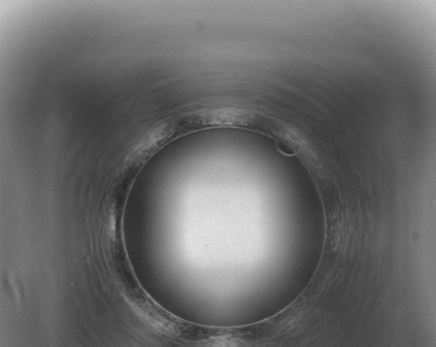 X0000081470310200701191813