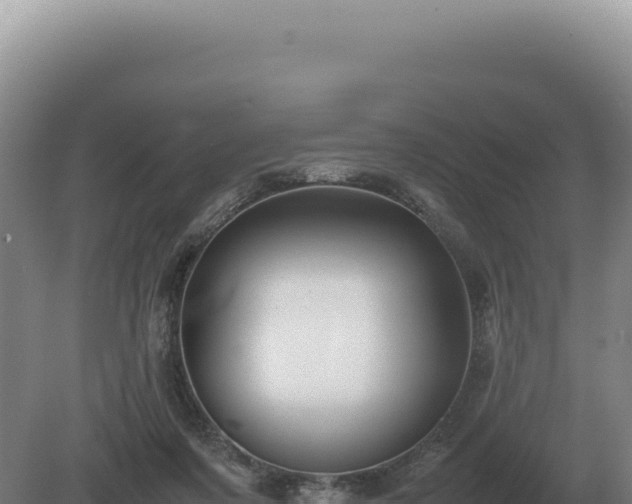 X0000081470311200701191812