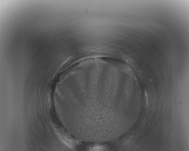 X0000081470312200701191812