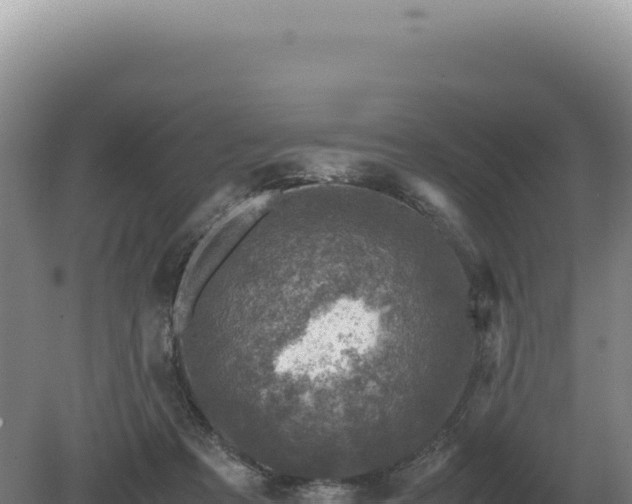 X0000081470313200701191812