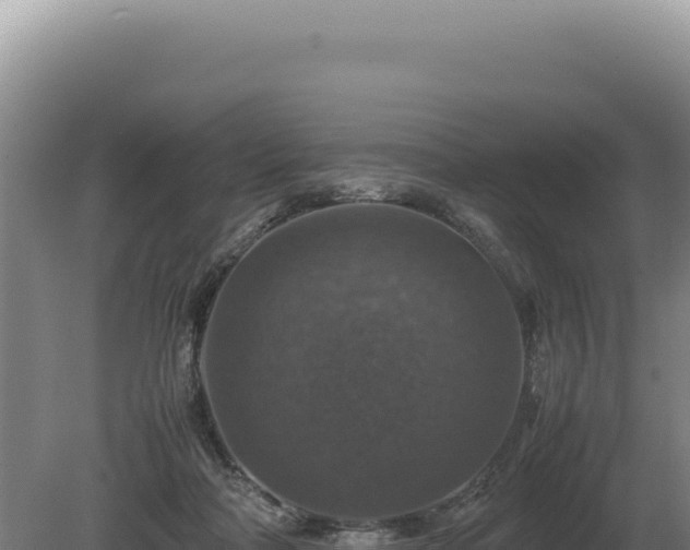 X0000081470314200701191812