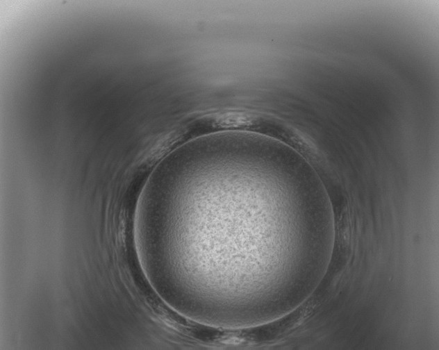 X0000081470315200701191812