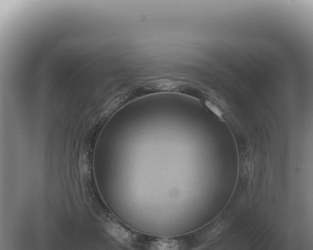 X0000081470317200701191812