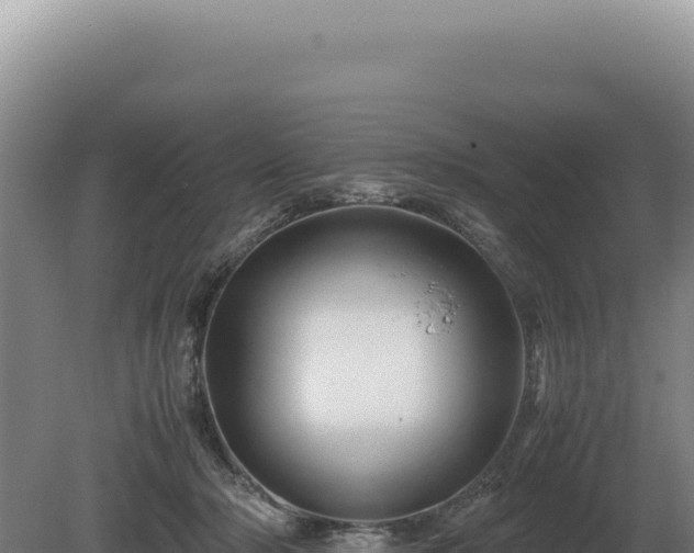 X0000081470318200701191812