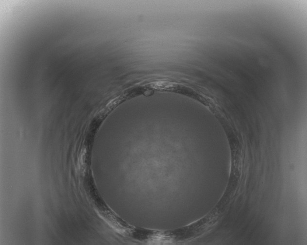 X0000081470319200701191812