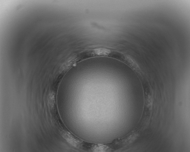 X0000081470321200701191812