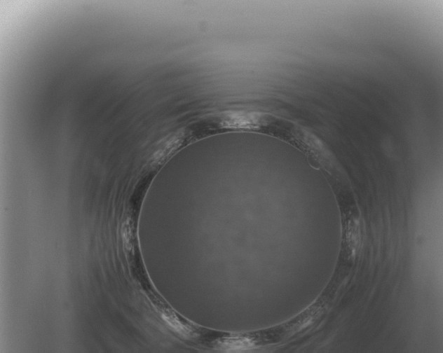 X0000081470322200701191812