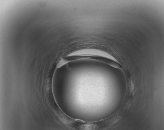 X0000081470323200701191812