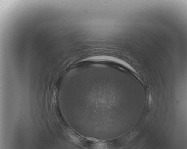 X0000081470325200701191812