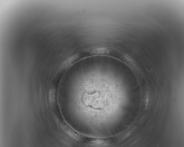 X0000081470326200701191812