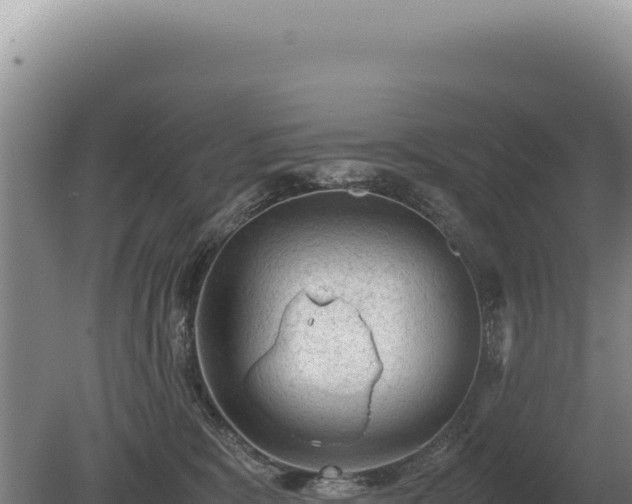 X0000081470327200701191812