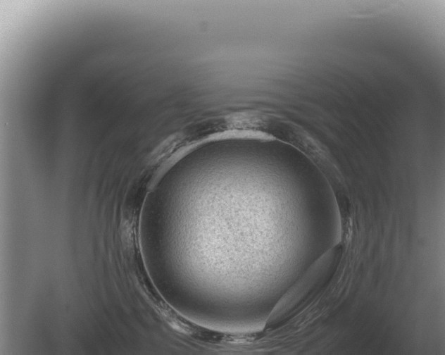 X0000081470329200701191812