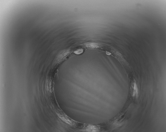 X0000081470330200701191812