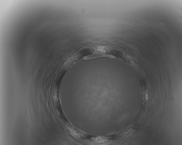 X0000081470331200701191812