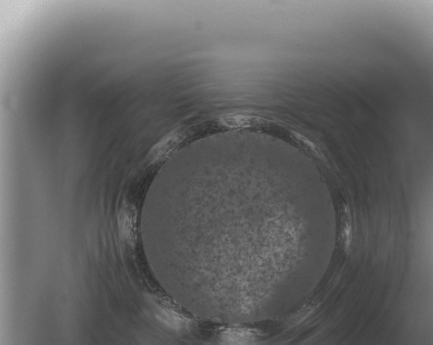 X0000081470332200701191812