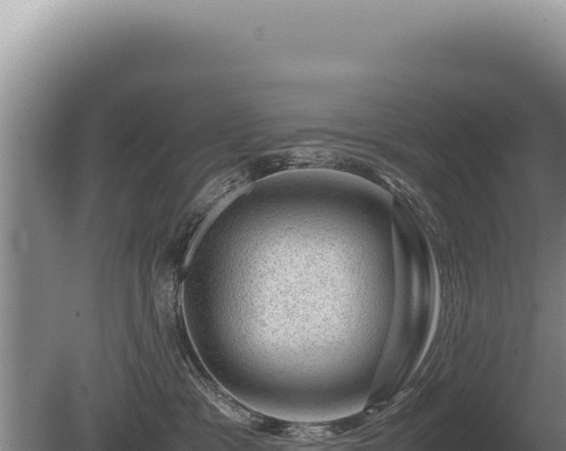 X0000081470333200701191812