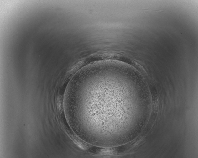 X0000081470335200701191812