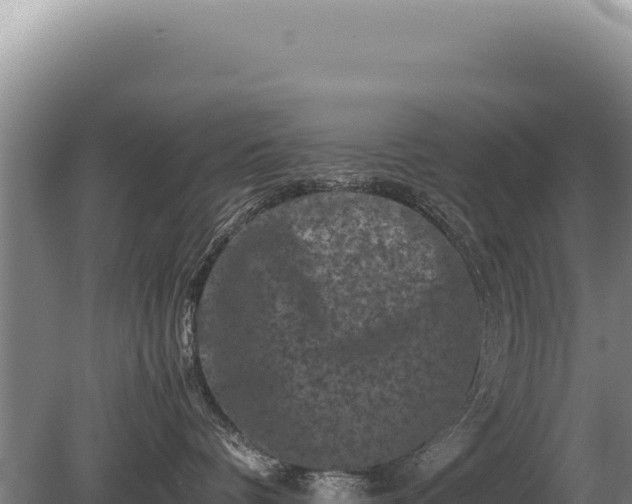 X0000081470336200701191812