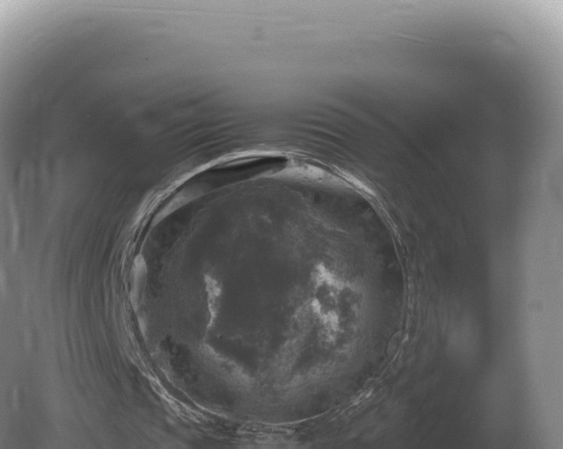 X0000081470337200701191811