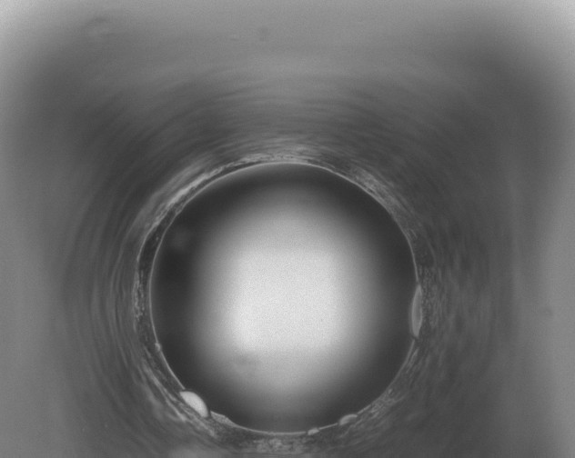 X0000081470338200701191811