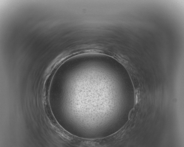 X0000081470339200701191811